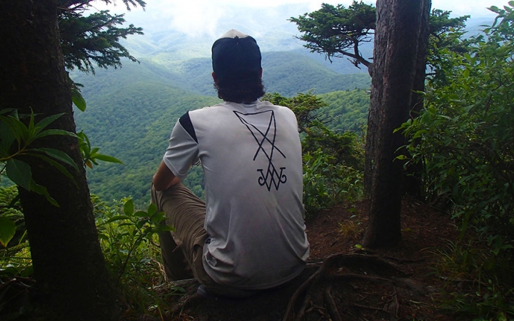 A person sits between two trees, looking out over a vast, green mountainous landscape.